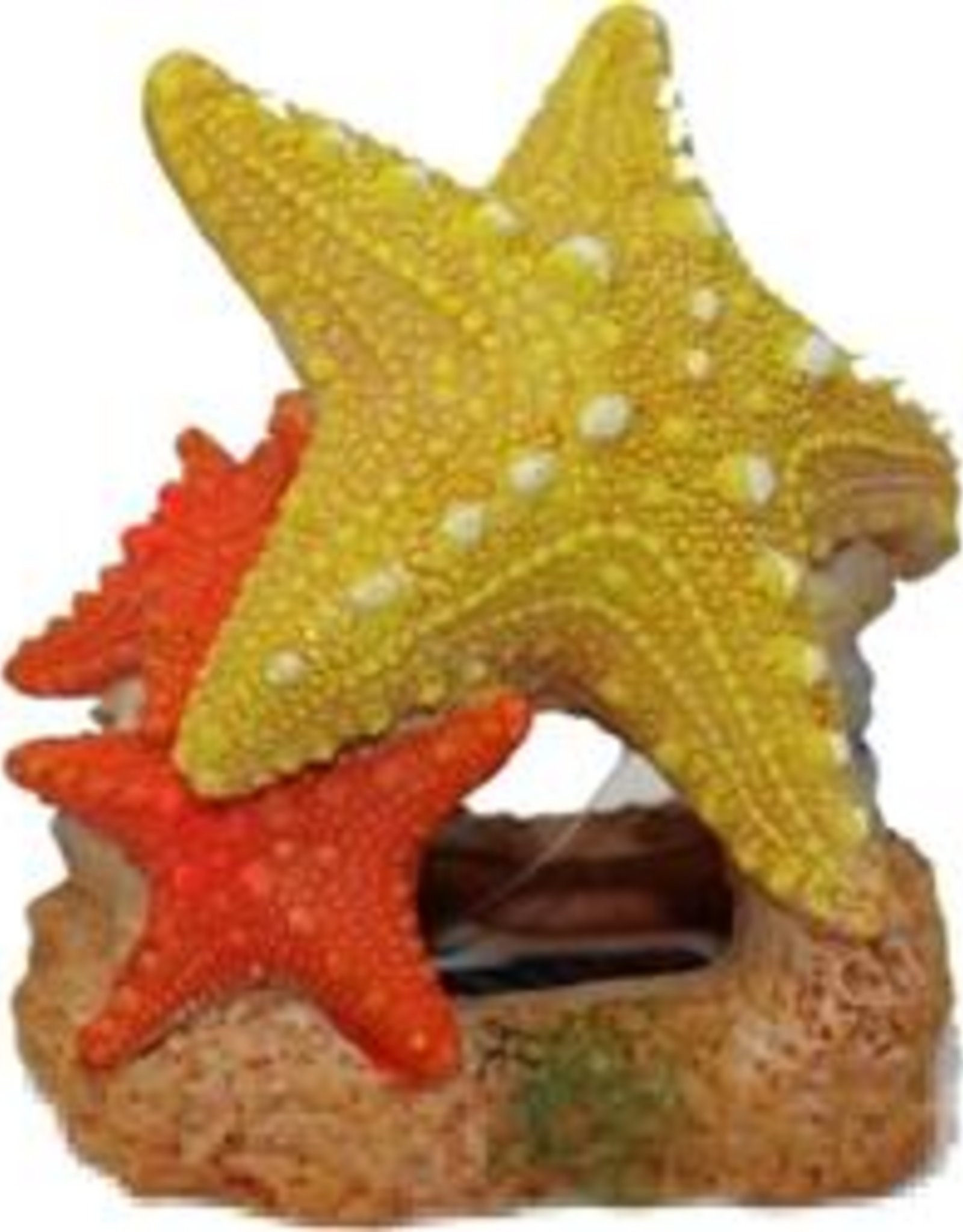 Blue Ribbon Exotic Environments Sea Star Duo - 3.5 x 3 x 3.5 in.