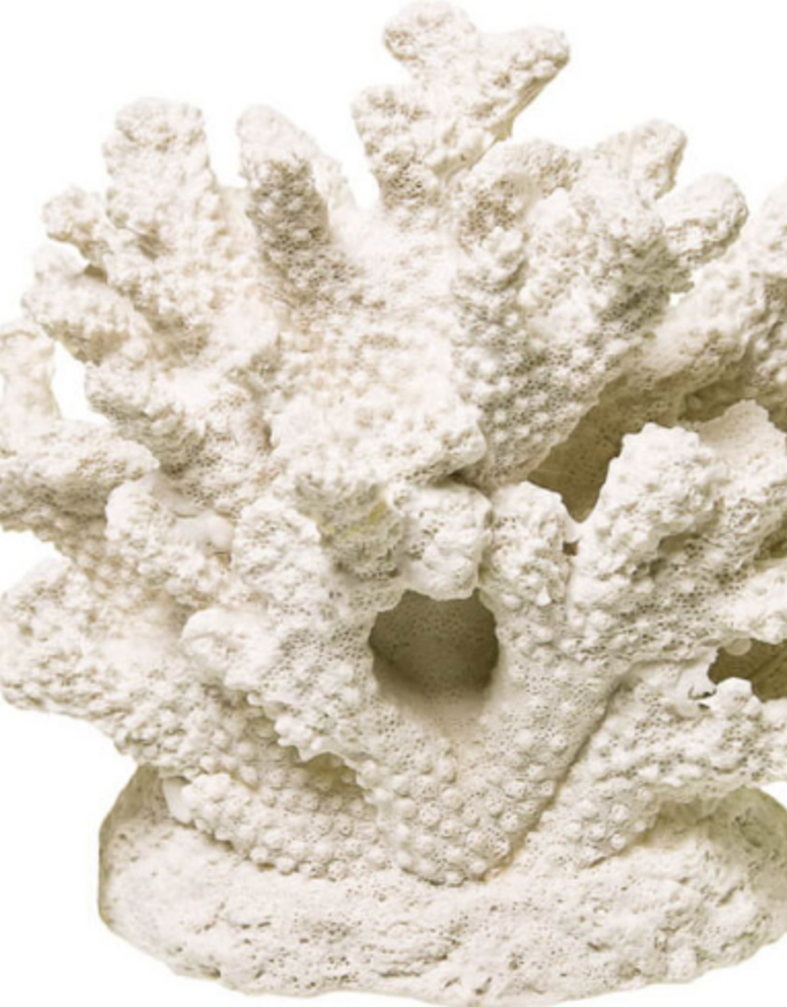 Blue Ribbon Branch Coral Centerpiece- White Small