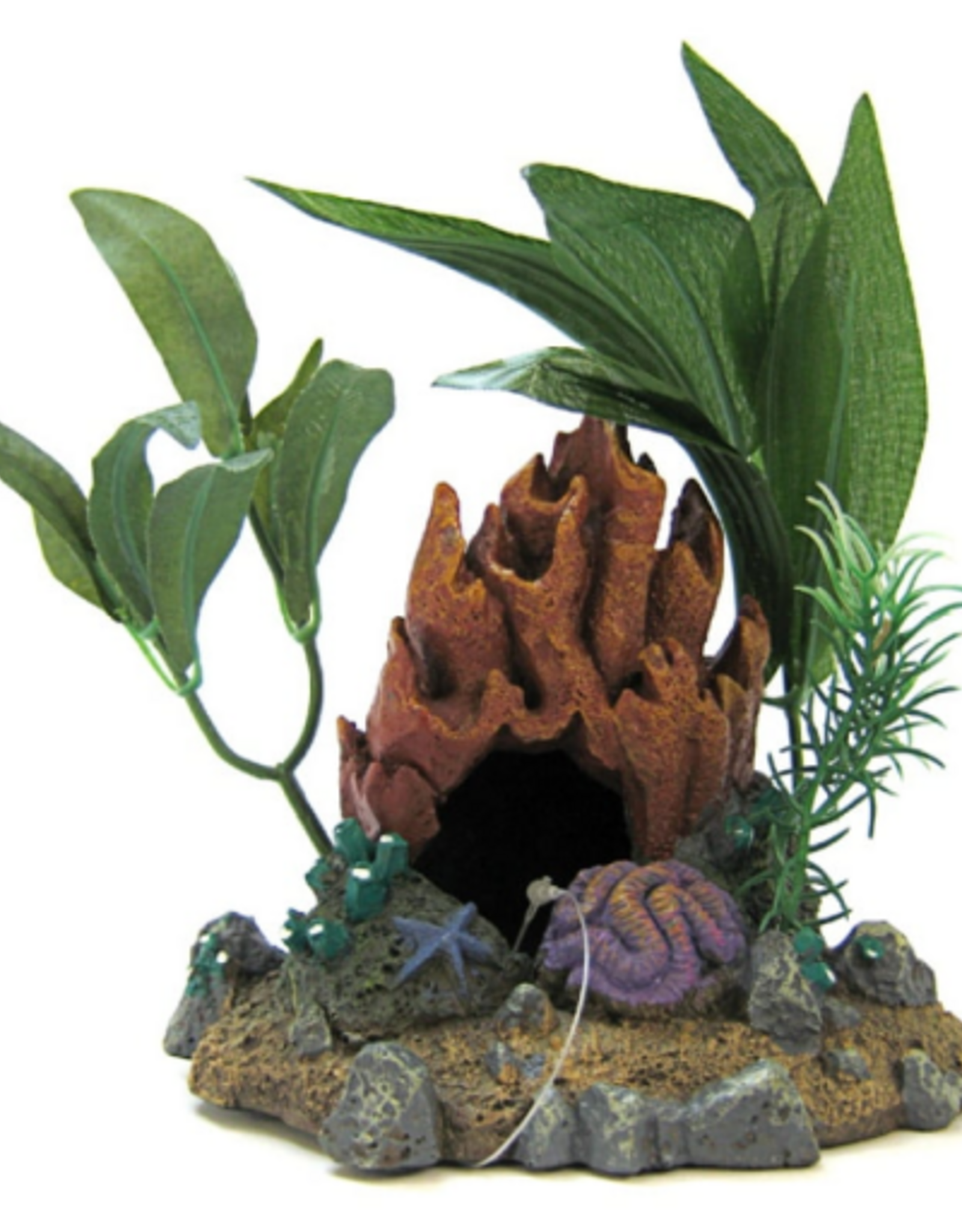 Blue Ribbon Resin Ornament Fire Coral Cave with Plants