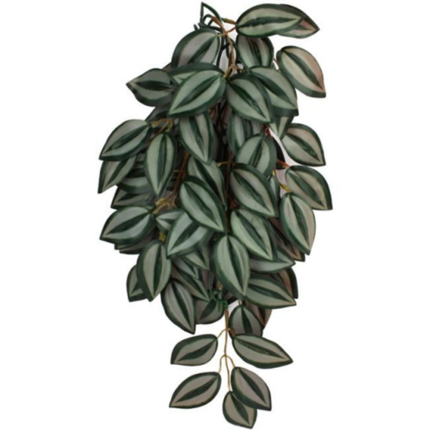 Komodo Komodo Zebrina Hanging Plant - 16 in. Small