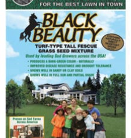 Jonathan Green Jonathan Green Black Beauty Original Grass Seed, 5 lb