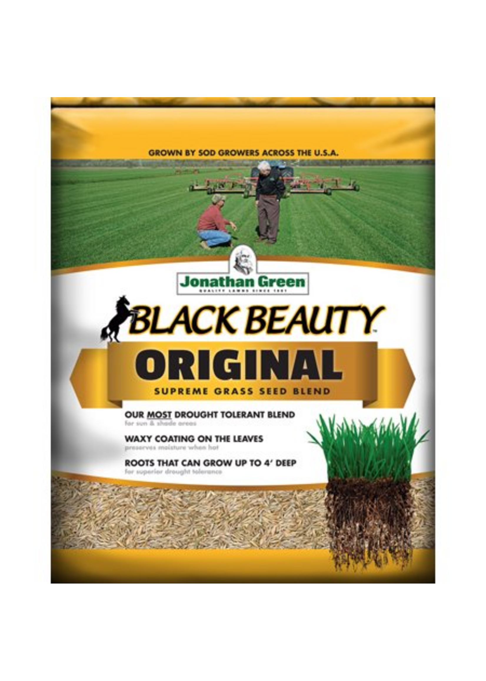 Jonathan Green Jonathan Green Black Beauty Original Grass Seed, 15 lb