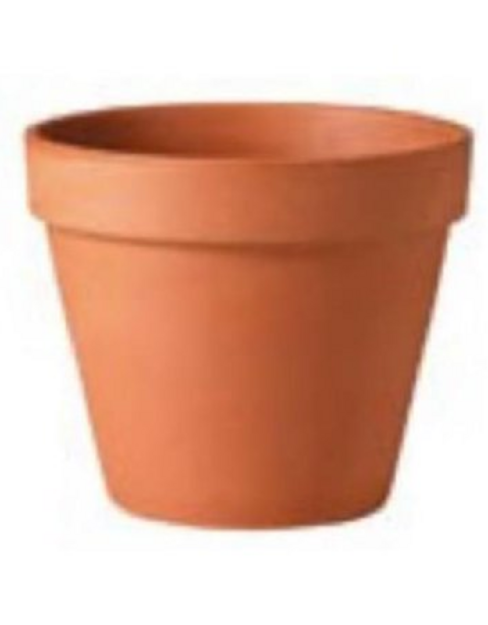 Deroma Deroma 20 Packs 6" TC STD Clay Pot