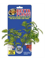 Zoo Med Zoo Med Aquatic Betta Plants - Window Leaf Plant