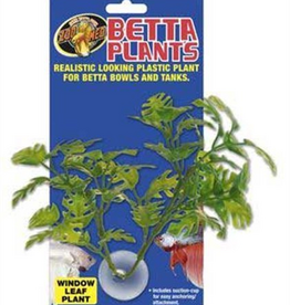 Zoo Med Zoo Med Aquatic Betta Plants - Window Leaf Plant