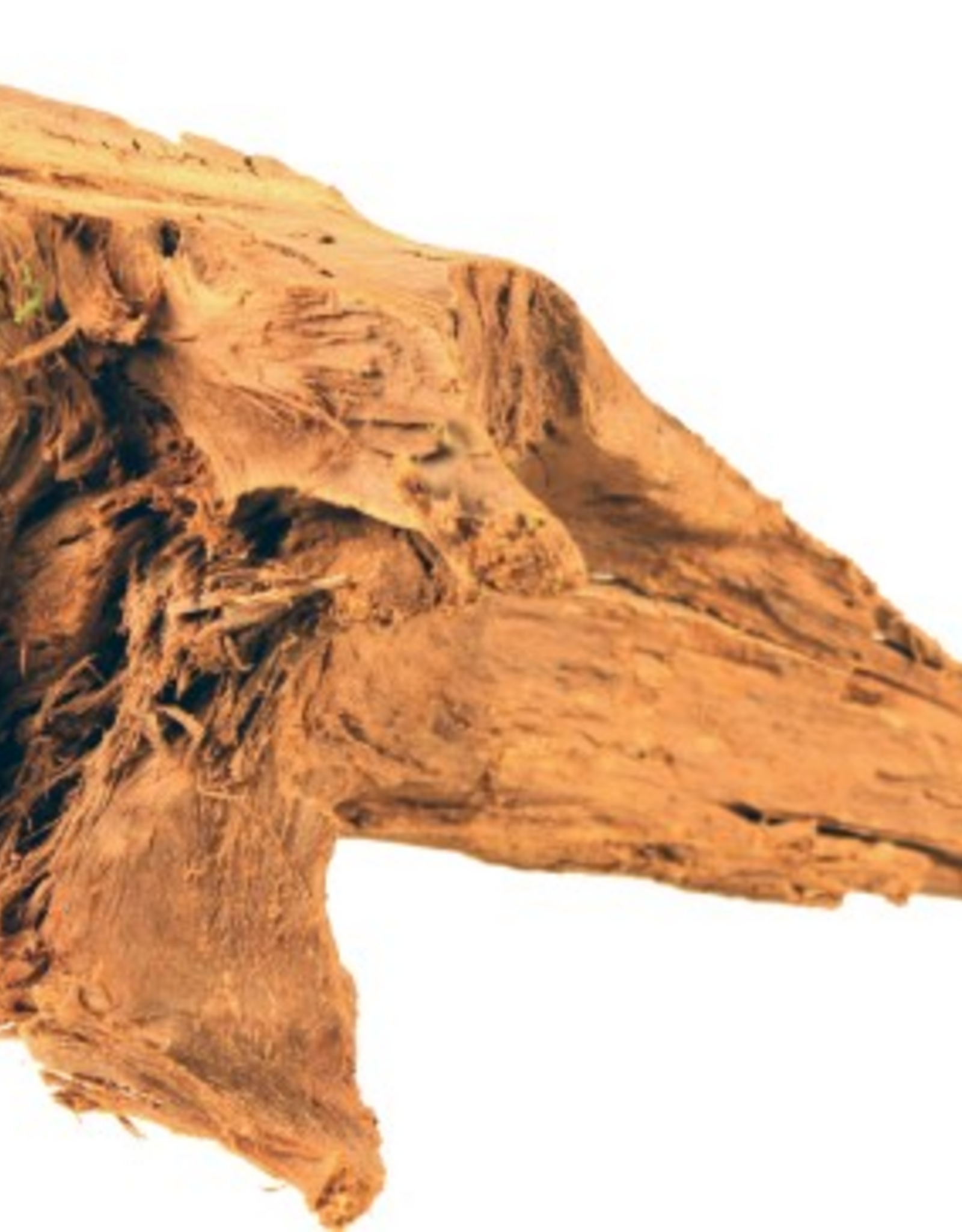 Galapagos Galapagos Sinkable Driftwood - 11-13 IN