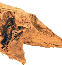 Galapagos Galapagos Sinkable Driftwood - 11-13 IN