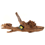 Galapagos Galapagos Sinkable Driftwood Natural - Extra Large, 27-34in