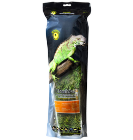 Galapagos Galapagos Reptile Terrarium Mossy Crash Pad  18  x 36  Header Pouch