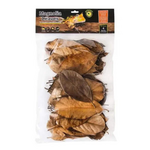 Galapagos Galapagos Magnolia Leaves for Tropical & Bioactive Habitats  Brown  1 Each/4 qt