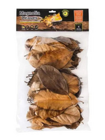 Galapagos Galapagos Magnolia Leaves for Tropical & Bioactive Habitats  Brown  1 Each/4 qt