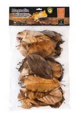 Galapagos Galapagos Magnolia Leaves for Tropical & Bioactive Habitats  Brown  1 Each/4 qt
