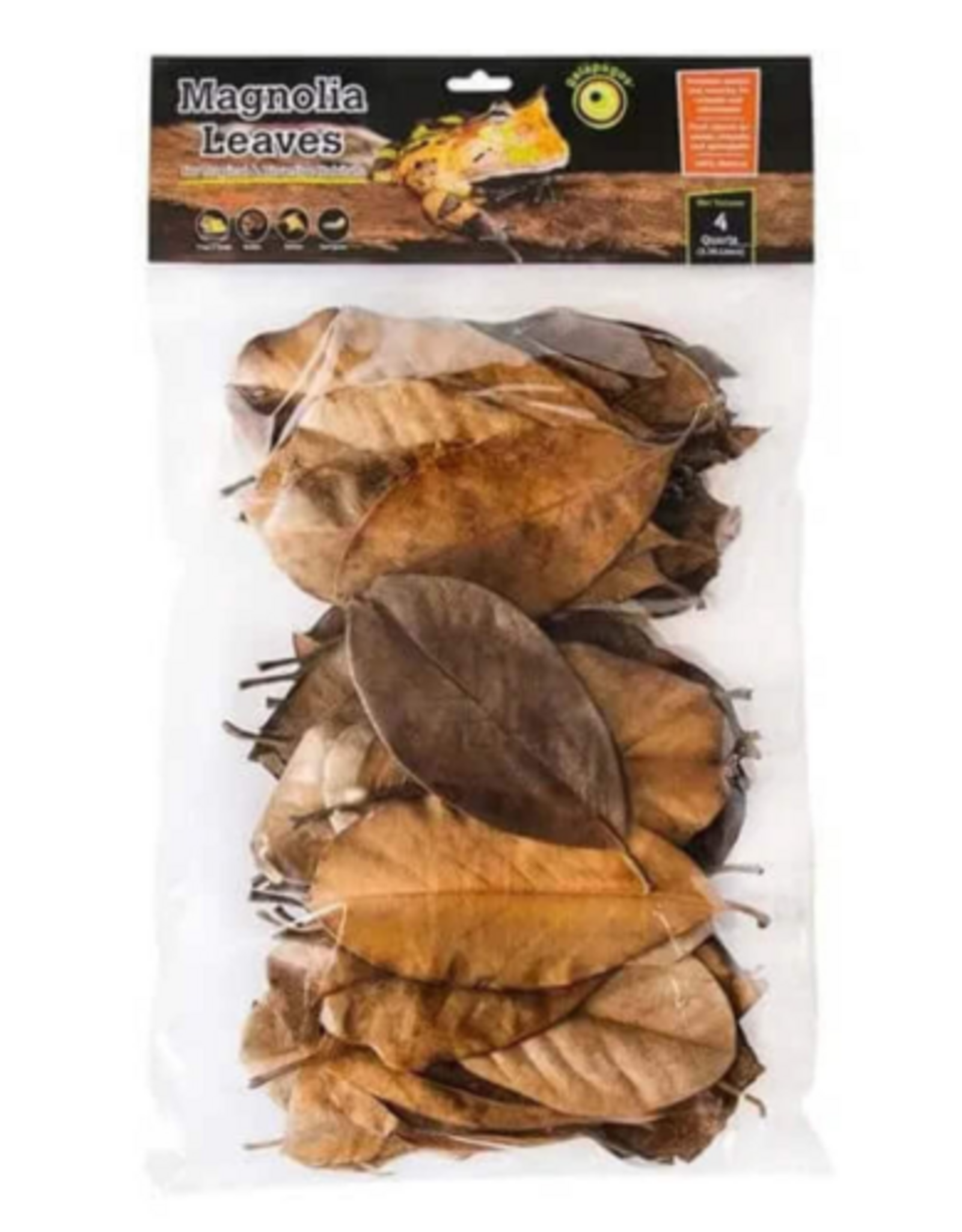 Galapagos Galapagos Magnolia Leaves for Tropical & Bioactive Habitats  Brown  1 Each/4 qt