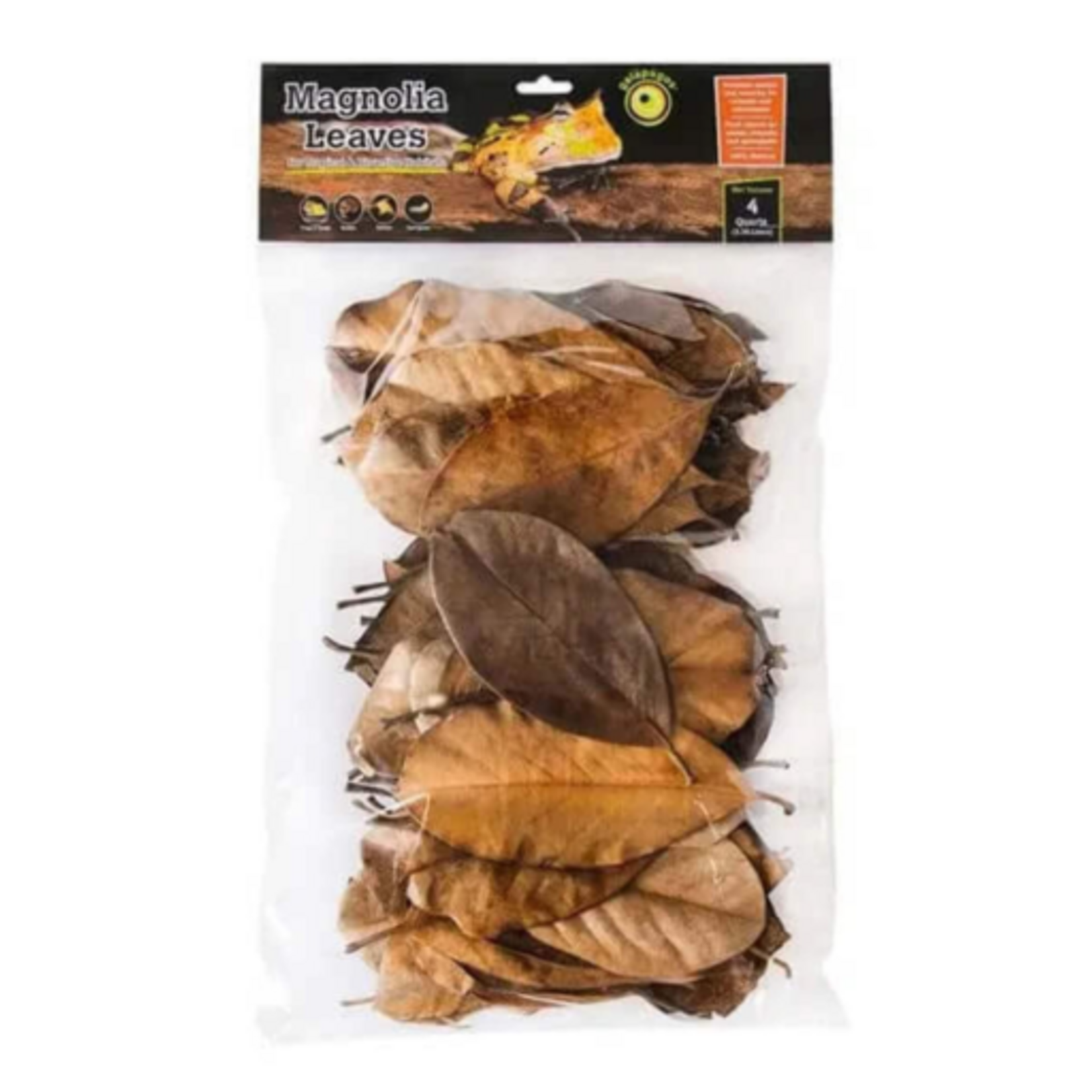Galapagos Galapagos Magnolia Leaves for Tropical & Bioactive Habitats  Brown  1 Each/4 qt