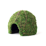 Galapagos Galapagos Mossy Dome Terrarium Hideaway  Fresh Green  1 Each/9 in