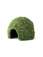 Galapagos Galapagos Mossy Dome Terrarium Hideaway  Fresh Green  1 Each/9 in