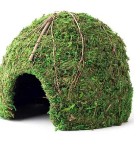 Galapagos Galapagos Mossy Dome Terrarium Hideaway  Fresh Green  1 Each/9 in