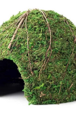 Galapagos Galapagos Mossy Dome Terrarium Hideaway  Fresh Green  1 Each/9 in