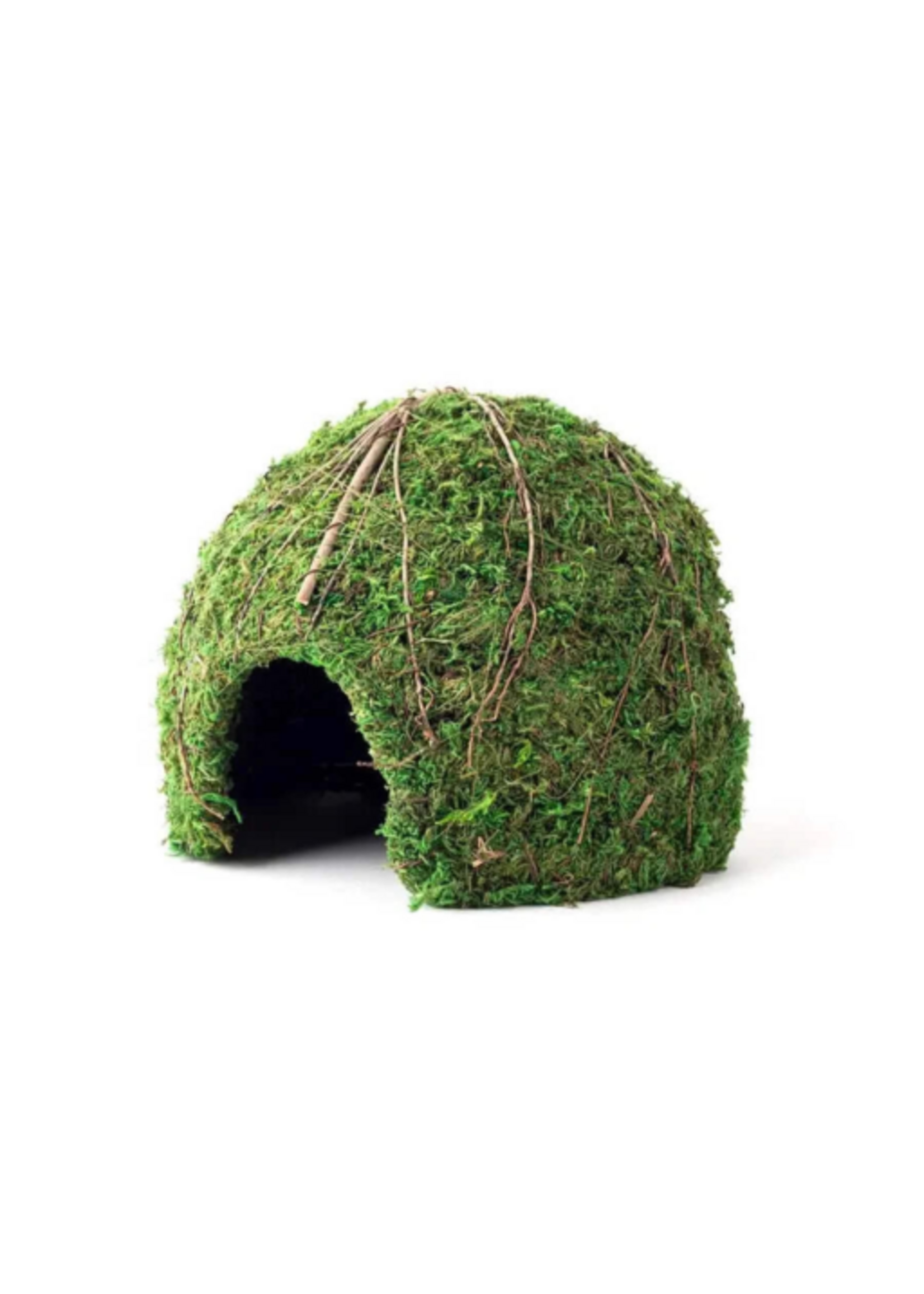 Galapagos Galapagos Mossy Dome Terrarium Hideaway  Fresh Green  1 Each/9 in