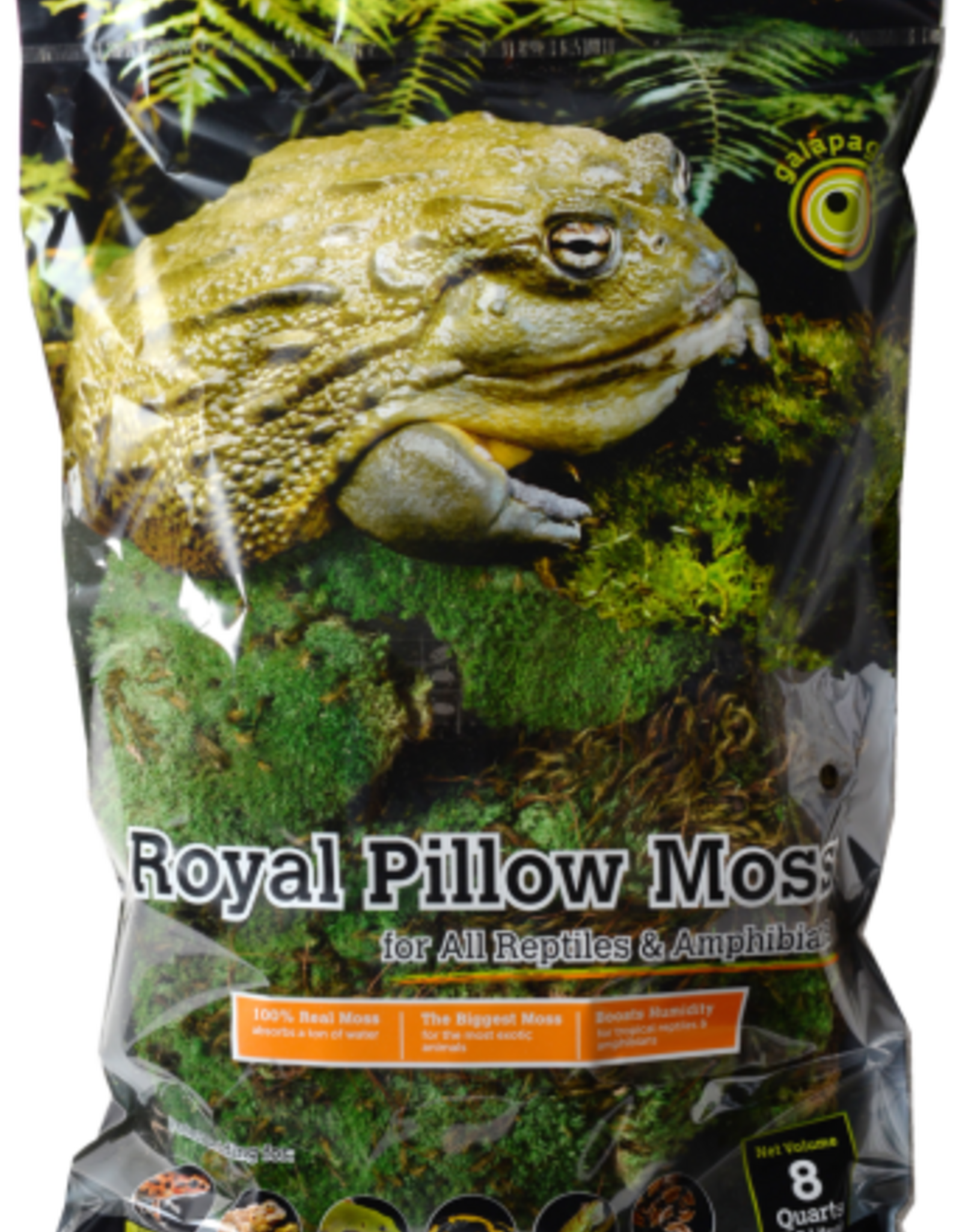 Galapagos Galapagos Green Royal Pillow Moss Bag Reptile Aquarium & Terrarium Substrate -  8 qt