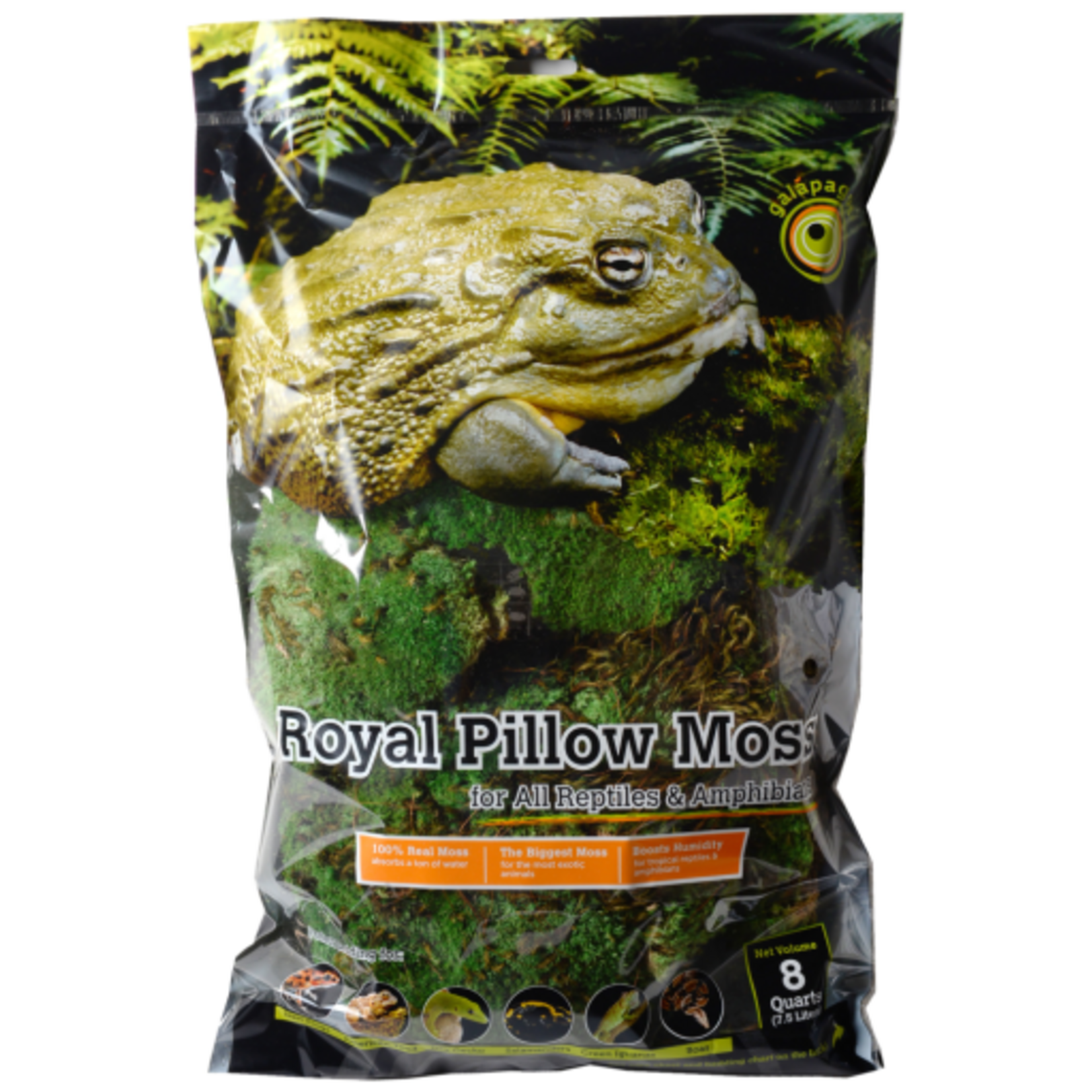 Galapagos Galapagos Green Royal Pillow Moss Bag Reptile Aquarium & Terrarium Substrate -  8 qt