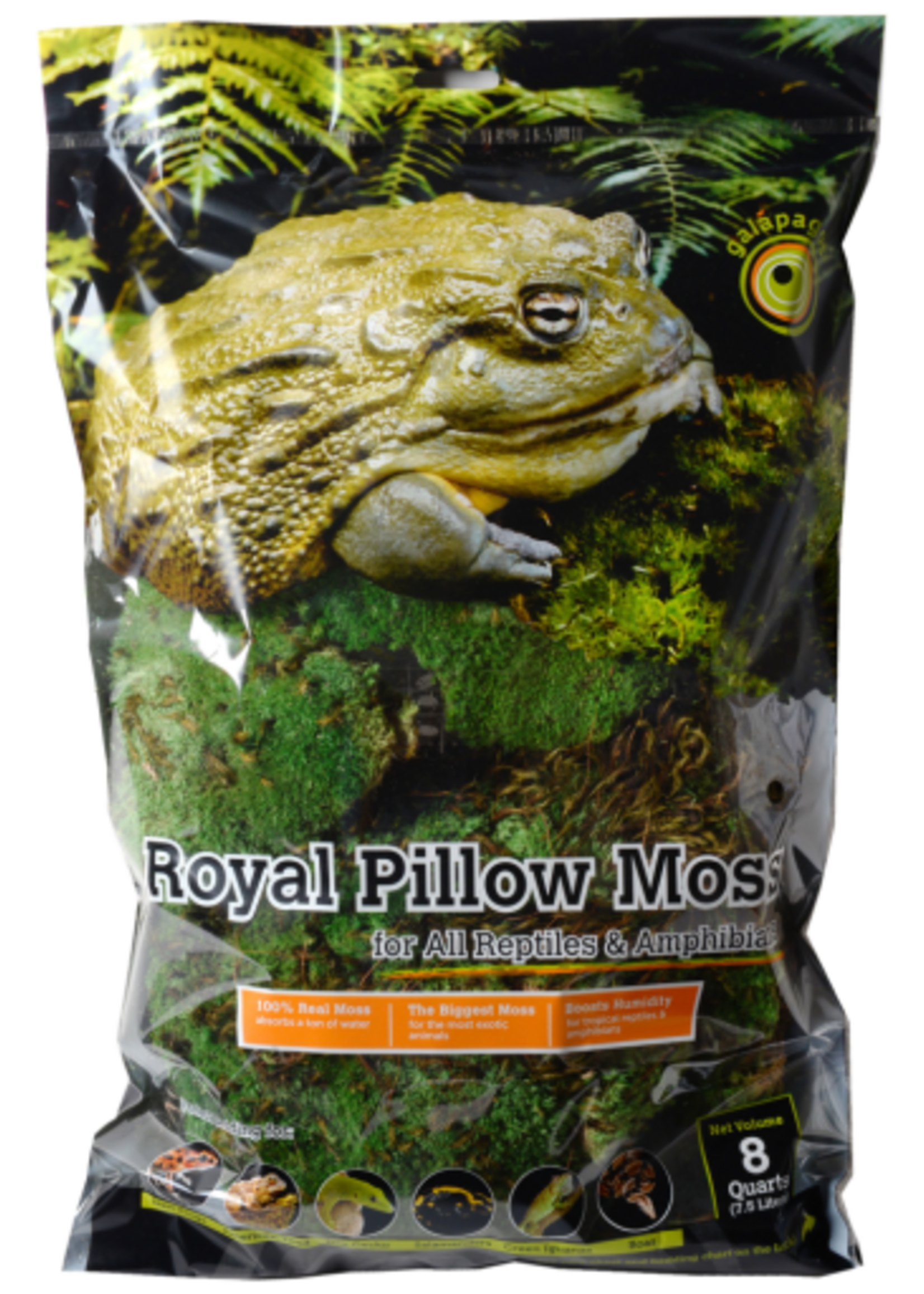 Galapagos Galapagos Green Royal Pillow Moss Bag Reptile Aquarium & Terrarium Substrate -  8 qt