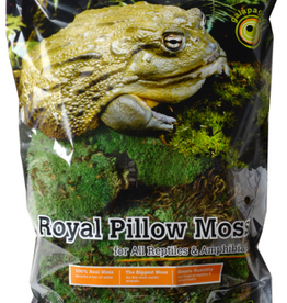 Galapagos Galapagos Green Royal Pillow Moss Bag Reptile Aquarium & Terrarium Substrate -  8 qt