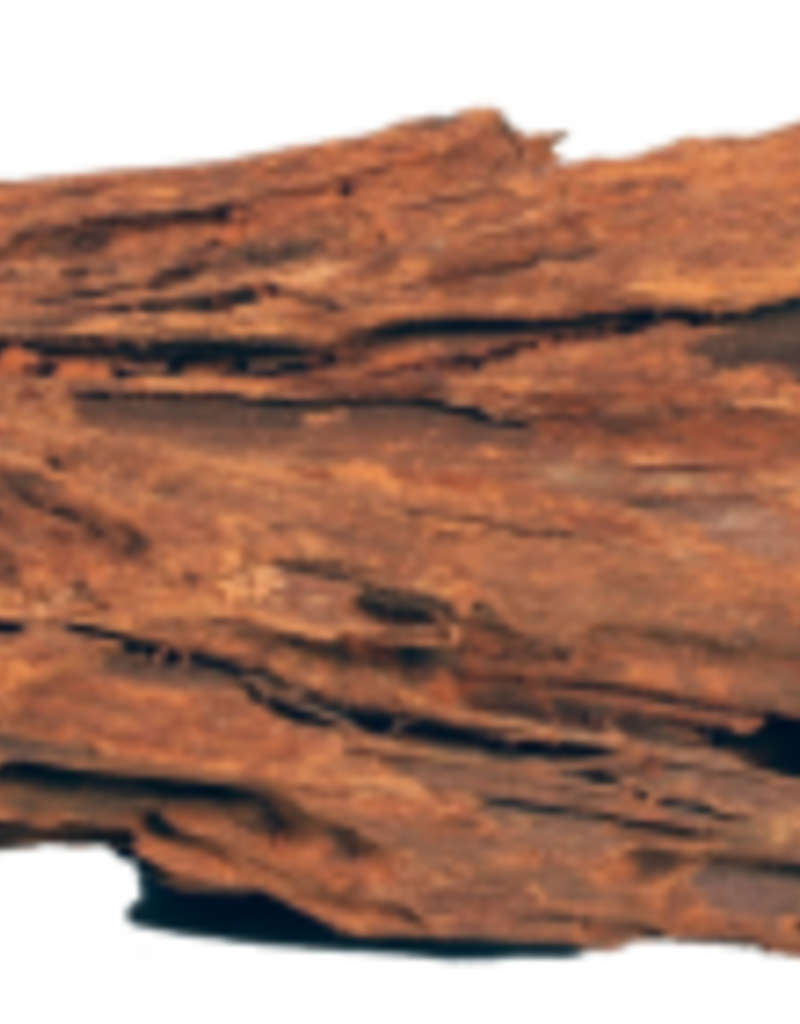 Galapagos Galapagos Sinkable Driftwood Natural - Large, 18-24in