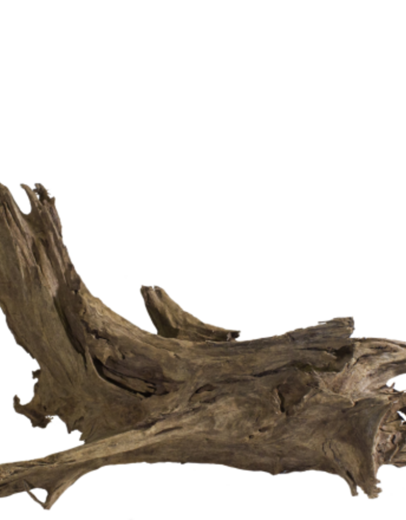 Galapagos Galapagos Sinkable Driftwood  Natural  Medium Large 14-16in