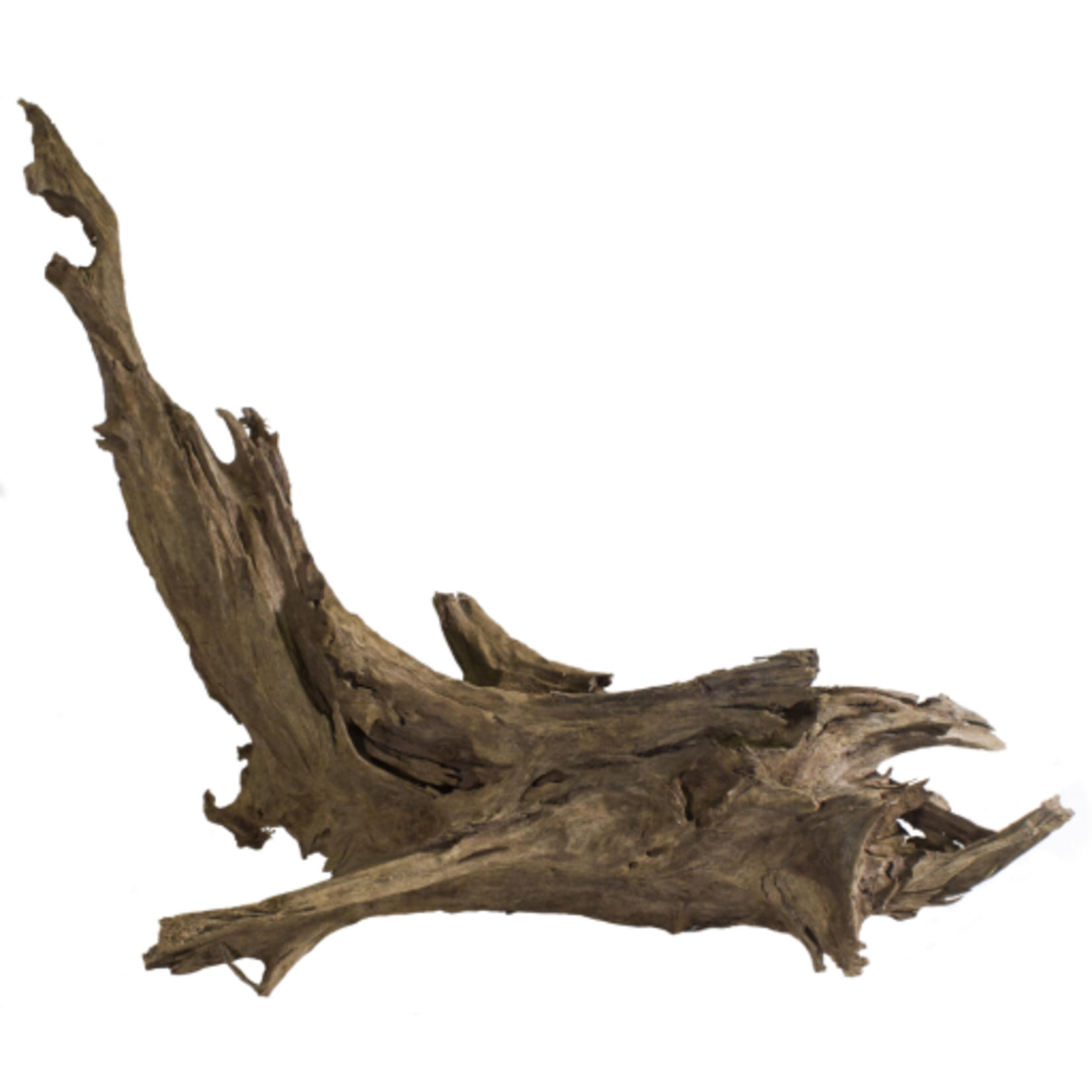 Galapagos Galapagos Sinkable Driftwood  Natural  Medium Large 14-16in