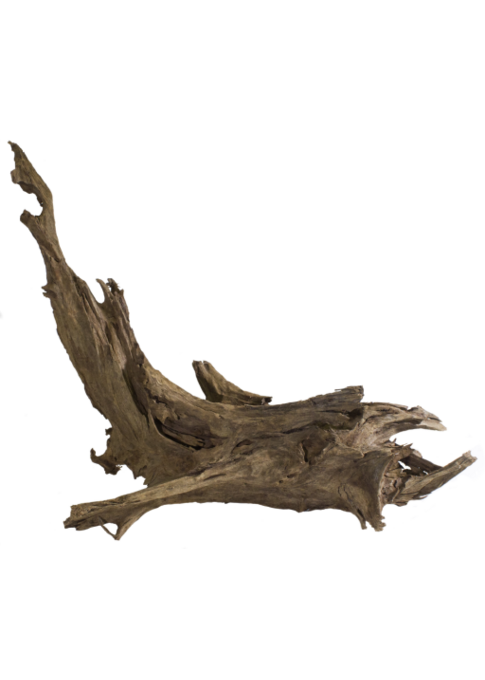 Galapagos Galapagos Sinkable Driftwood  Natural  Medium Large 14-16in
