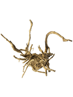 Galapagos Galapagos Spider Wood  Natural  12 - 24