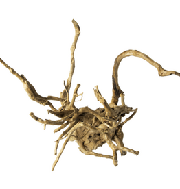 Galapagos Galapagos Spider Wood  Natural  12 - 24