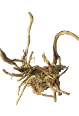 Galapagos Galapagos Spider Wood  Natural  12 - 24