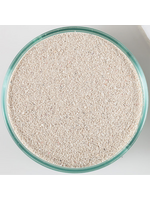 CaribSea CaribSea Arag-Alive Bahamas Oolite for Fish - 20 Lbs