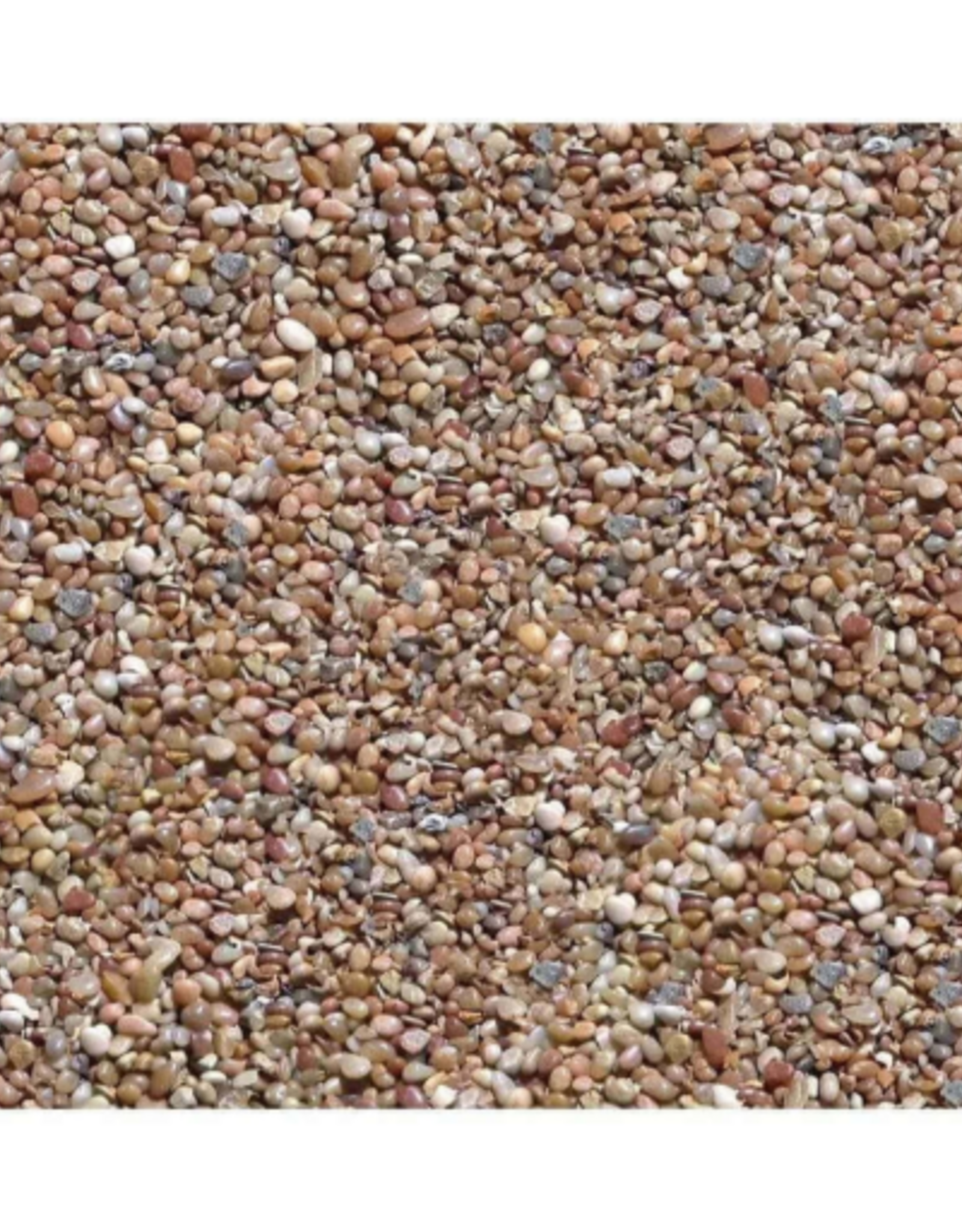 Pure Water Pebbles Aquarium Gravel - Cumberland River Gems  5 lbs (6.3-9.5 mm Grain)