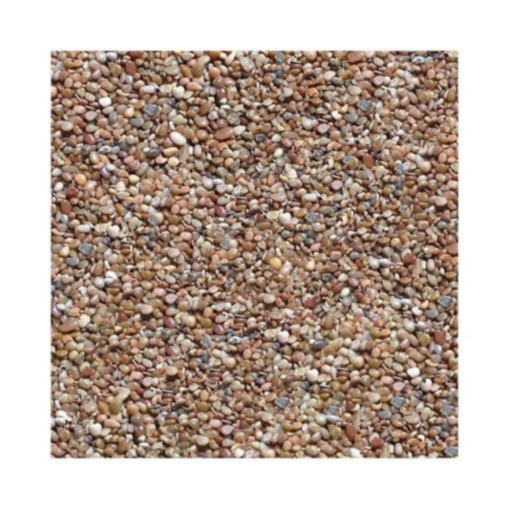 Pure Water Pebbles Aquarium Gravel - Cumberland River Gems  5 lbs (6.3-9.5 mm Grain)