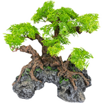 Komodo Komodo Bonsai Tree with Hide - 18 in.