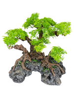 Komodo Komodo Bonsai Tree with Hide - 18 in.