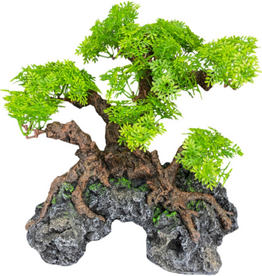 Komodo Komodo Bonsai Tree with Hide - 18 in.