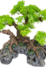 Komodo Komodo Bonsai Tree with Hide - 18 in.