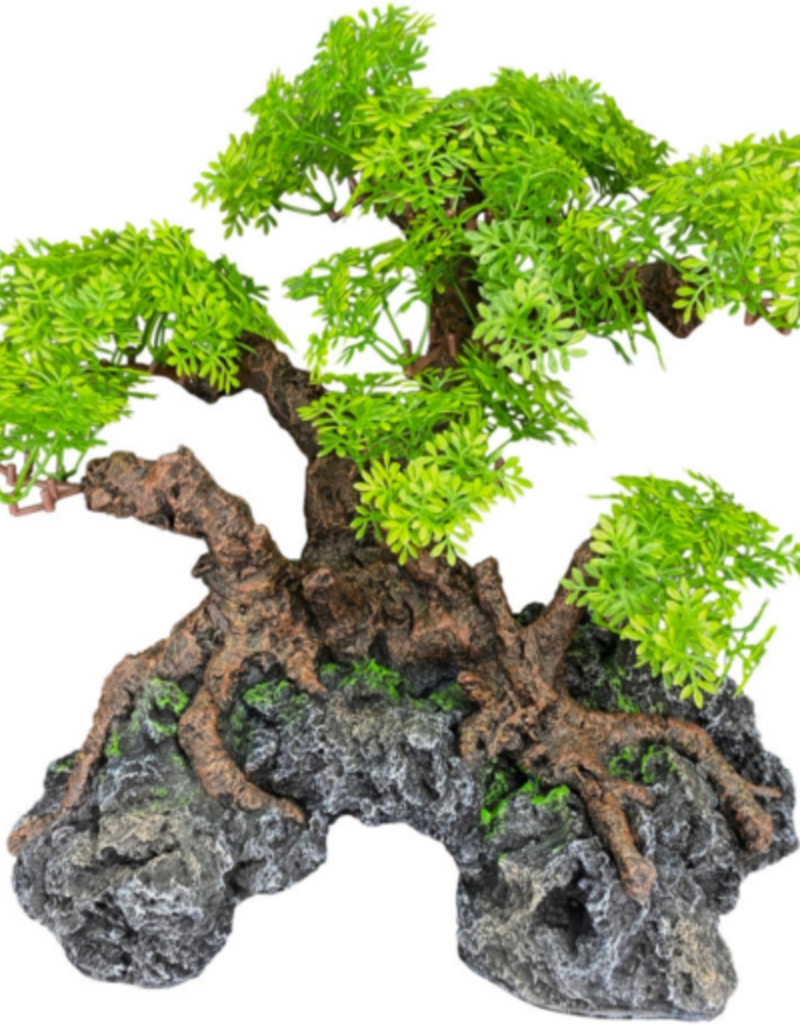 Komodo Komodo Bonsai Tree with Hide - 18 in.