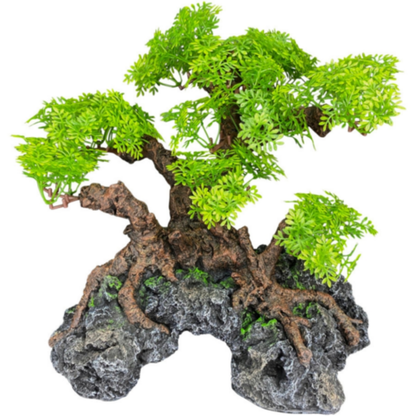 Komodo Komodo Bonsai Tree with Hide - 18 in.