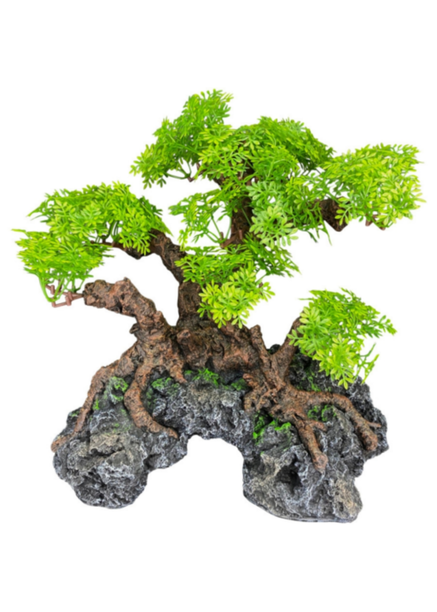 Komodo Komodo Bonsai Tree with Hide - 18 in.