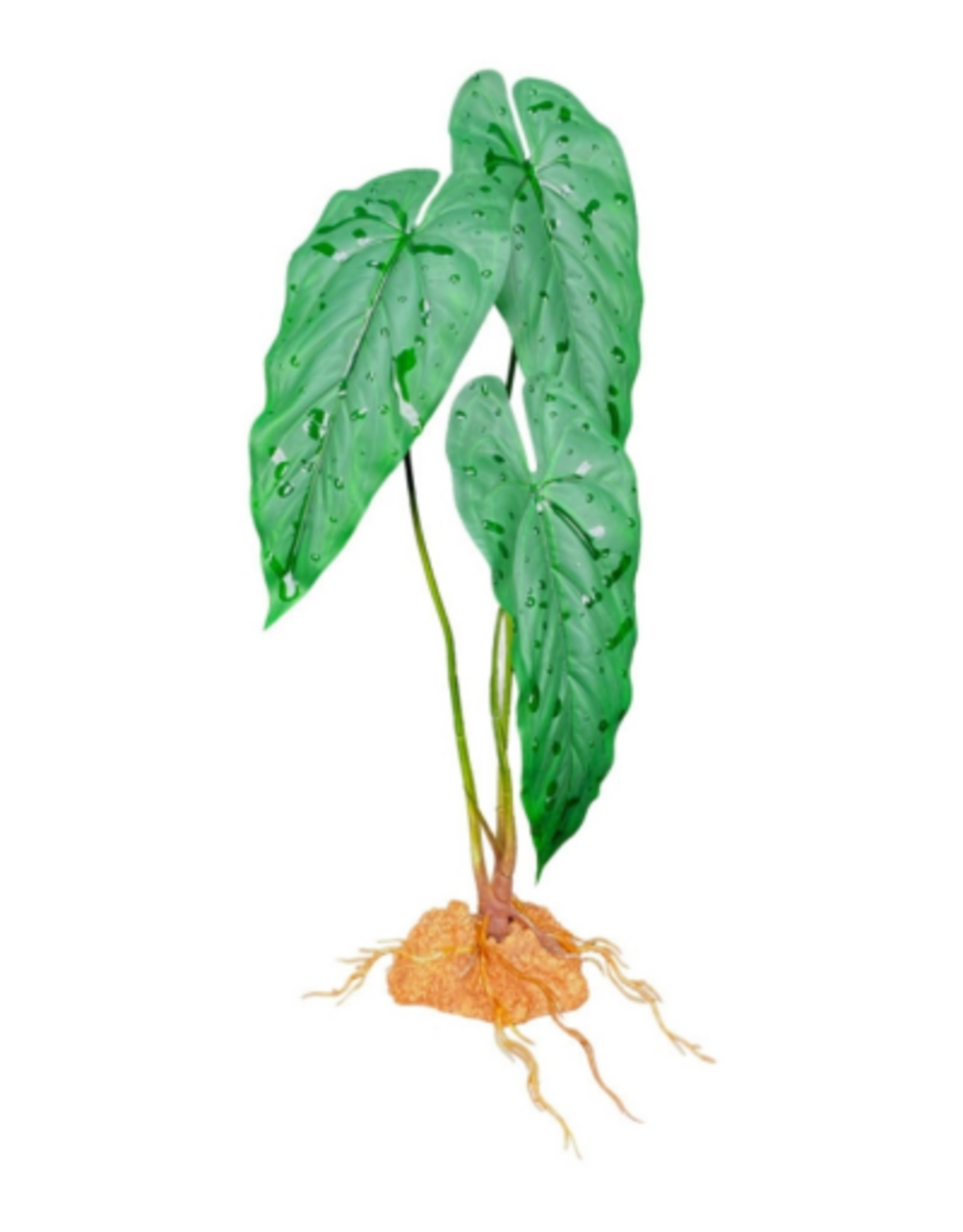 Komodo Komodo Standing Plant Emerald Vine - 18 in.