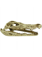 Komodo Komodo Alligator Skull Hideout Pet Toy - 9 in.