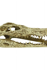 Komodo Komodo Alligator Skull Hideout Pet Toy - 9 in.