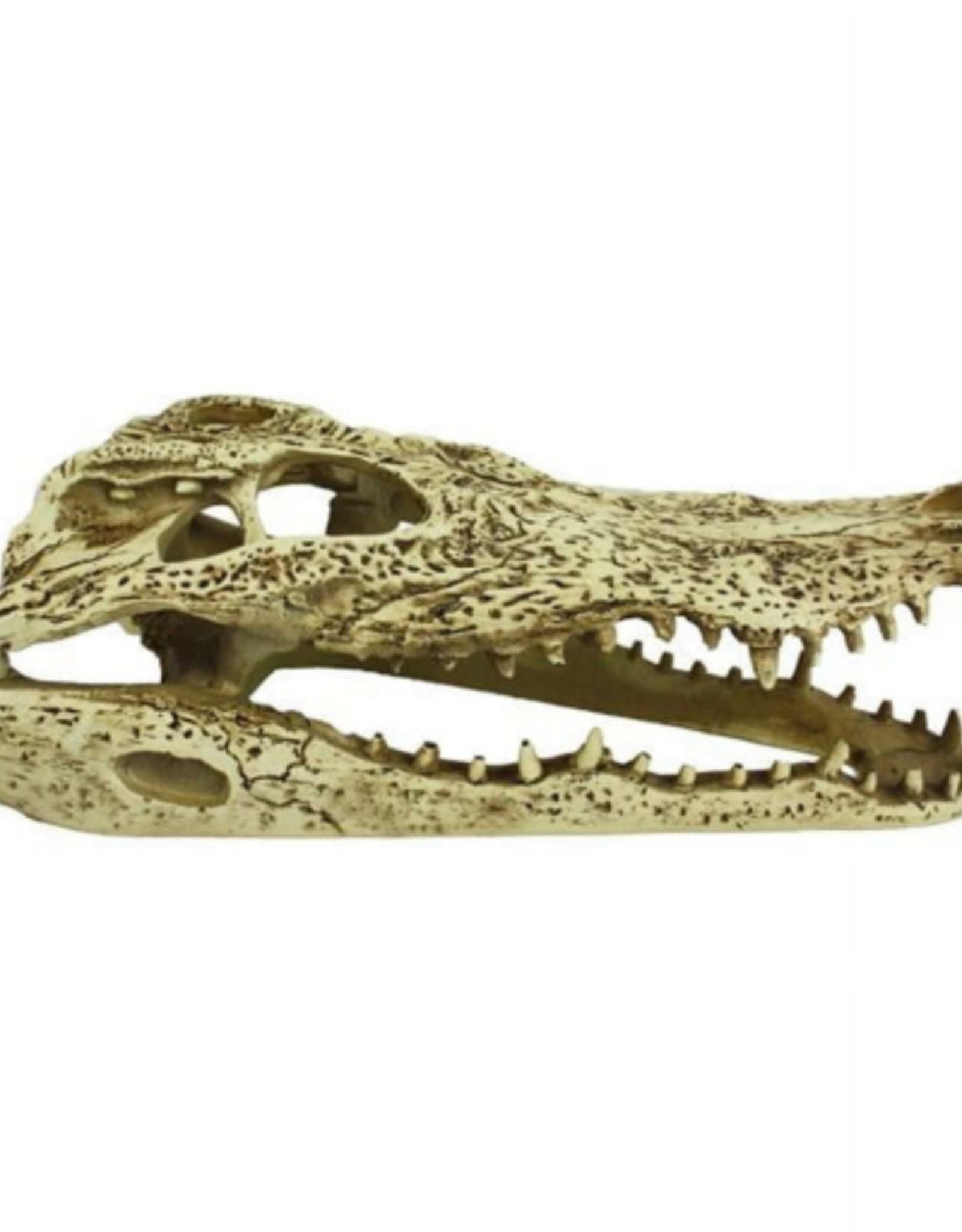 Komodo Komodo Alligator Skull Hideout Pet Toy - 9 in.