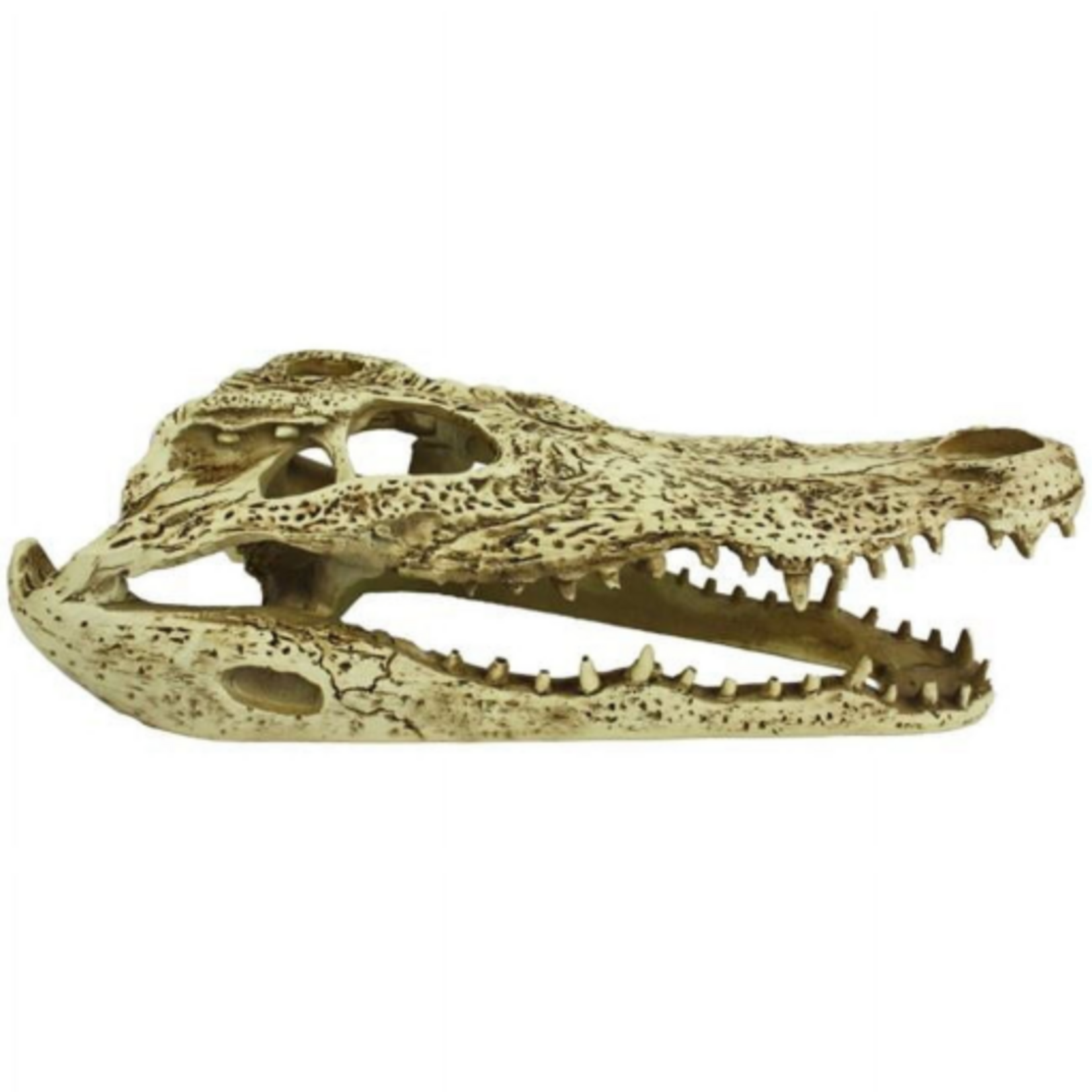 Komodo Komodo Alligator Skull Hideout Pet Toy - 9 in.