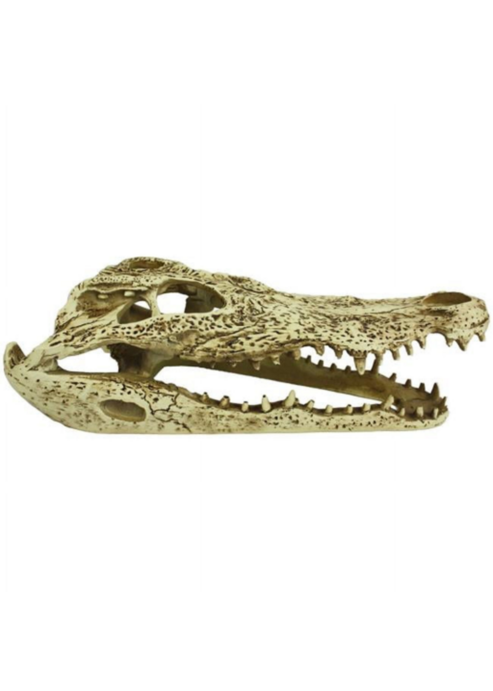 Komodo Komodo Alligator Skull Hideout Pet Toy - 9 in.